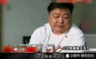 小沈阳吃瓜大叔,揭秘娱乐圈幕后故事