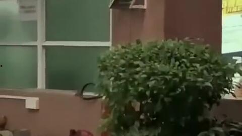 吃瓜事件电梯大战,吃瓜事件背后的激烈冲突