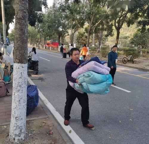 吃瓜走走看看,吃瓜群众视角下的社会百态