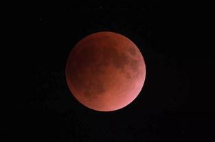 望月吃瓜,揭秘月圆之夜的神秘瓜果传说