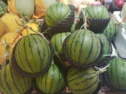 小栋吃瓜,揭秘娱乐圈那些不为人知的幕后故事