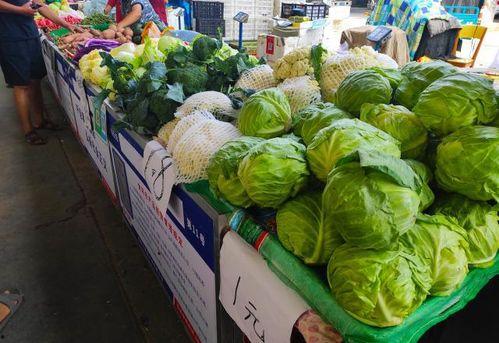 大理吃瓜摆摊,吃瓜摆摊，品味生活百态