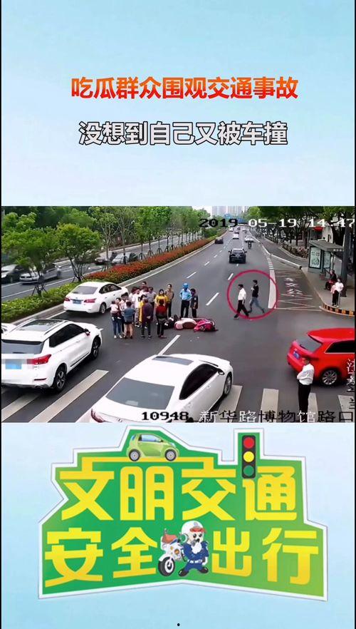 车祸吃瓜被撞,意外频发引发社会关注