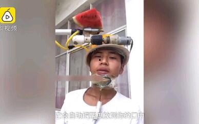 儿童自动吃瓜机